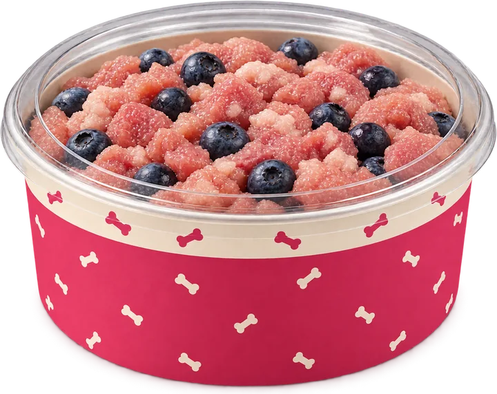 A pack of Turkey and Blueberry raw food for dogs